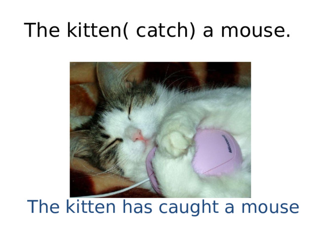The kitten( catch) a mouse. The kitten has caught a mouse 