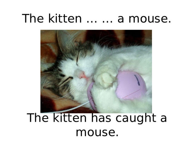 The kitten … … a mouse. The kitten has caught a mouse. 