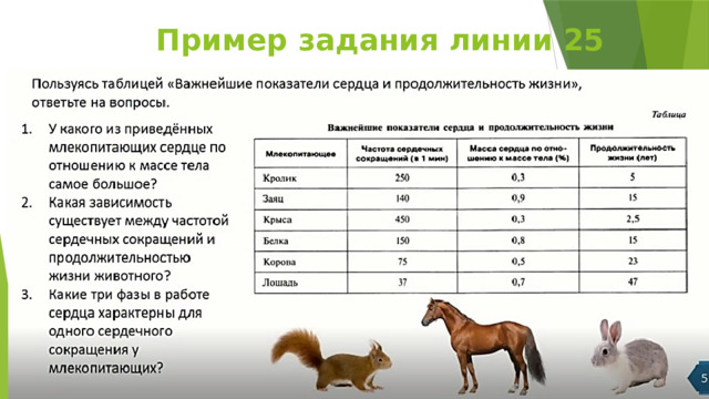 Пример задания линии 25 
