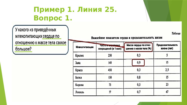 Пример 1. Линия 25. Вопрос 1. 