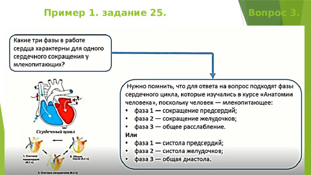 Пример 1. задание 25. Вопрос 3. 