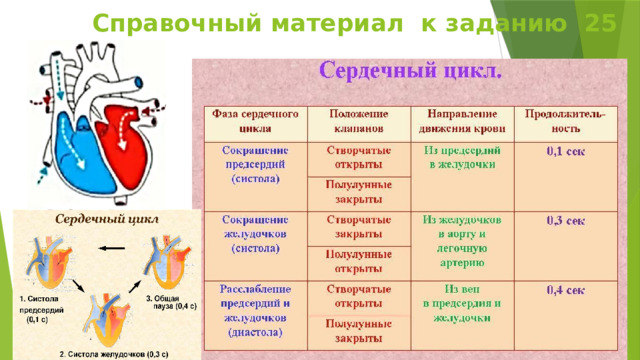Справочный материал к заданию 25 