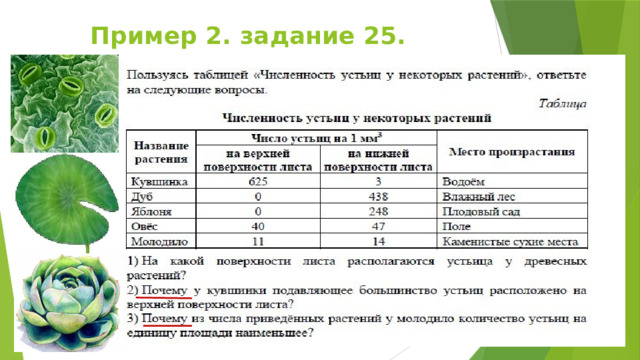 Пример 2. задание 25. 