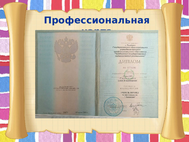 Профессиональная карта        