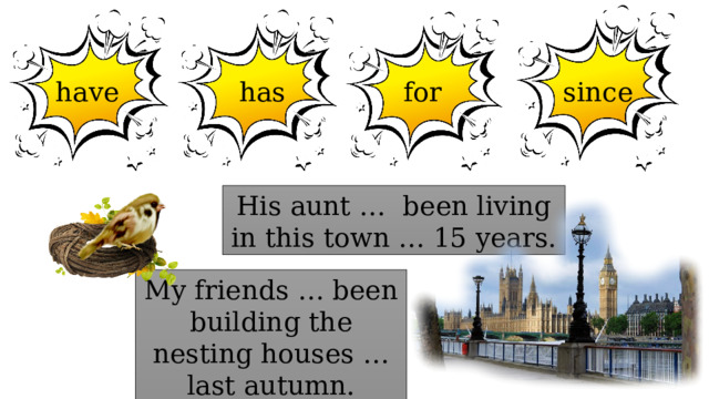 for has have since His aunt … been living in this town … 15 years. My friends … been building the nesting houses … last autumn. 