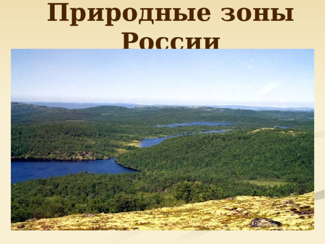 Природные зоны России 