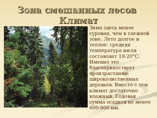 Зона смешанных лесов  Климат  Зима здесь менее суровая, чем в таежной зоне. Лето долгое и теплое: средняя температура июля составляет 18-20°С. Именно это благоприятствует произрастанию широколиственных деревьев. Вместе с тем климат достаточно влажный. Годовая сумма осадков не менее 600-800 мм. 