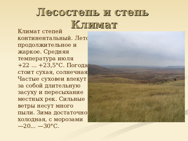 Лесостепь и степь  Климат  Климат степей континентальный. Лето продолжительное и жаркое. Средняя температура июля +22 ... +23,5°С. Погода стоит сухая, солнечная. Частые суховеи влекут за собой длительную засуху и пересыхание местных рек. Сильные ветры несут много пыли. Зима достаточно холодная, с морозами —20... —30°С. 