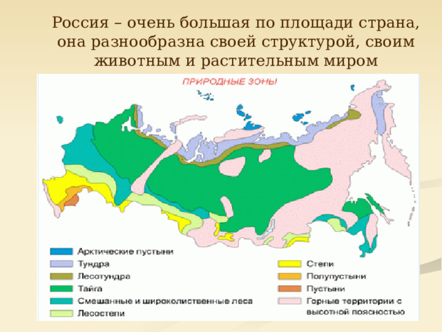  Россия – очень большая по площади страна, она разнообразна своей структурой, своим животным и растительным миром 