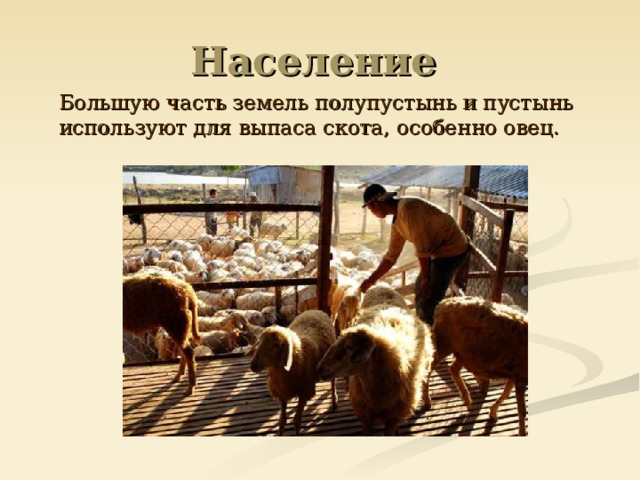 Население  Большую часть земель полупустынь и пустынь используют для выпаса скота, особенно овец. 