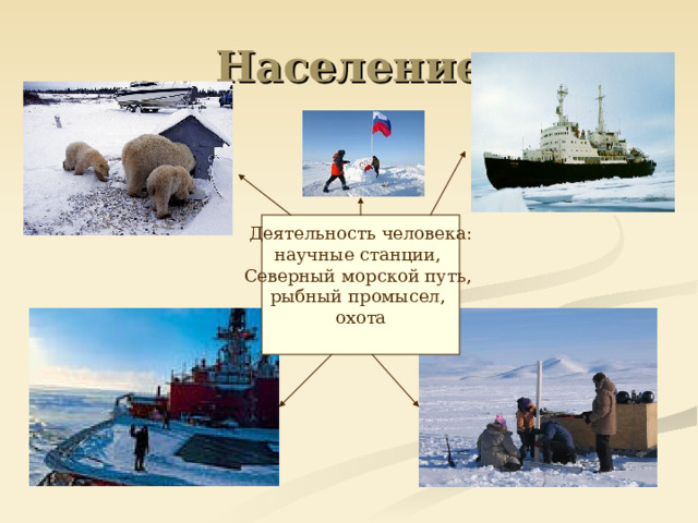 Население  Деятельность человека: научные станции, Северный морской путь, рыбный промысел, охота 