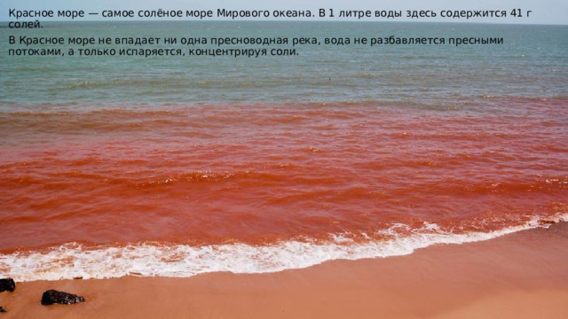 Красное море — самое солёное море Мирового океана. В 1 литре воды здесь содержится 41 г солей. В Красное море не впадает ни одна пресноводная река, вода не разбавляется пресными потоками, а только испаряется, концентрируя соли. 