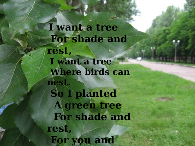  I want a tree  For shade and rest,  I want a tree  Where birds can nest.  So I planted  A green tree  For shade and rest,  For you and me.   