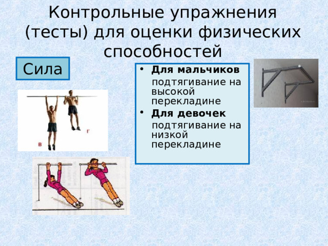 Контрольные упражнения (тесты) для оценки физических способностей Сила Для мальчиков  подтягивание на высокой перекладине Для девочек  подтягивание на низкой перекладине 