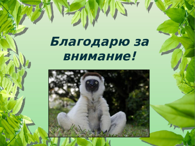  Благодарю за внимание! 