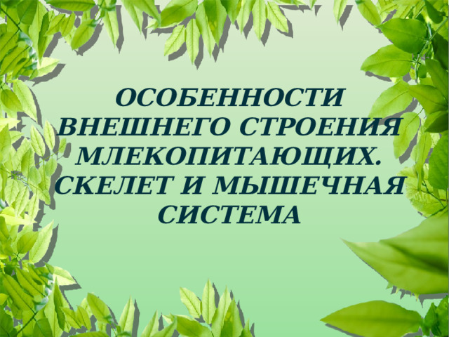  ОСОБЕННОСТИ ВНЕШНЕГО СТРОЕНИЯ МЛЕКОПИТАЮЩИХ. СКЕЛЕТ И МЫШЕЧНАЯ СИСТЕМА 