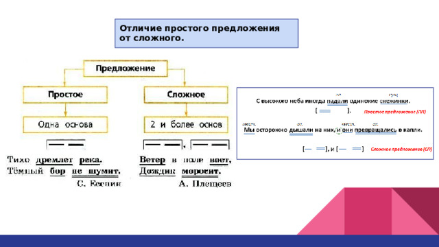 Отличие простого предложения от сложного. 