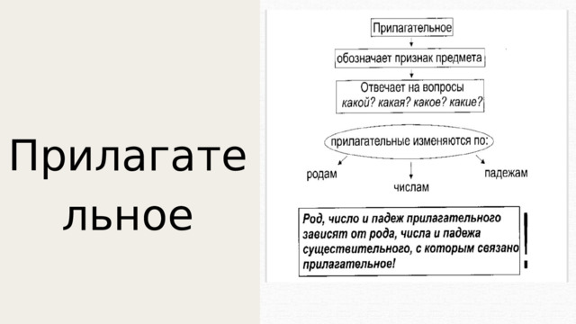 Прилагательное 