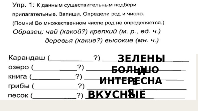ЗЕЛЕНЫЙ БОЛЬШОЕ ИНТЕРЕСНАЯ ВКУСНЫЕ 