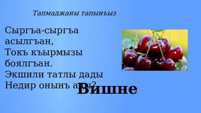 Тапмаджаны тапынъыз Сыргъа-сыргъа асылгъан, Токъ къырмызы боялгъан. Экшили татлы дады Недир онынъ ады?  Вишне 