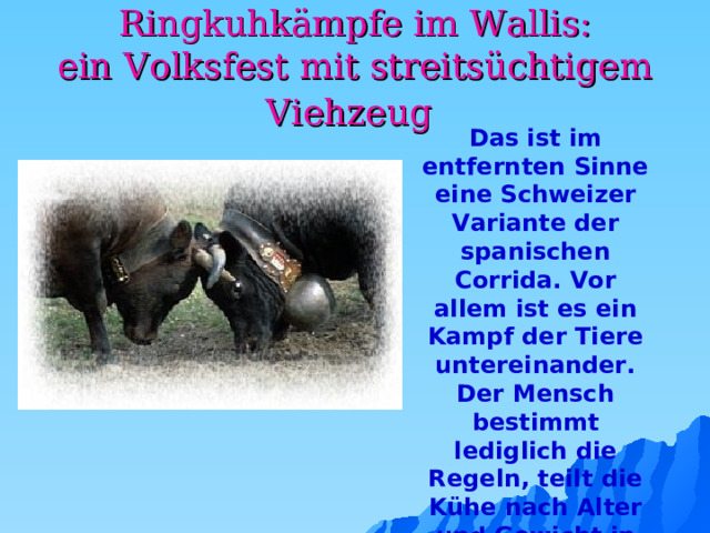 Ringkuhkämpfe im Wallis:  ein Volksfest mit streitsüchtigem Viehzeug  Das ist im entfernten Sinne eine Schweizer Variante der spanischen Corrida. Vor allem ist es ein Kampf der Tiere untereinander. Der Mensch bestimmt lediglich die Regeln, teilt die Kühe nach Alter und Gewicht in Kategorien ein und betätigt sich während des Kampfes als Schiedsrichter. 