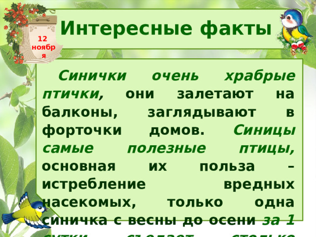Интересные факты 12 ноября Синички очень храбрые птички , они залетают на балконы, заглядывают в форточки домов. Синицы самые полезные птицы, основная их польза – истребление вредных насекомых, только одна синичка с весны до осени за 1 сутки съедает столько насекомых, сколь весит сама – 20 граммов. 