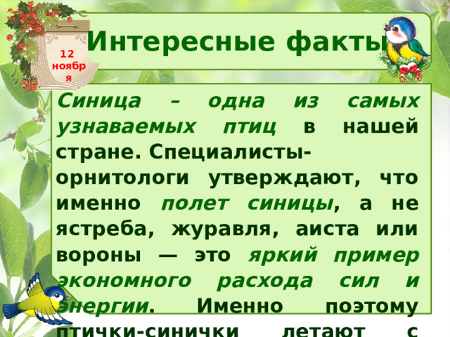 Интересные факты 12 ноября Синица – одна из самых узнаваемых птиц в нашей стране. Специалисты-орнитологи утверждают, что именно полет синицы , а не ястреба, журавля, аиста или вороны — это яркий пример экономного расхода сил и энергии . Именно поэтому птички-синички летают с огромной скоростью, но при этом довольно редко взмахивают крыльями . 