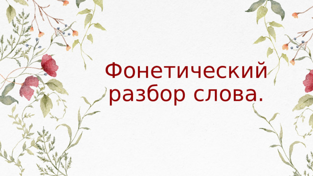 Фонетический разбор слова. 