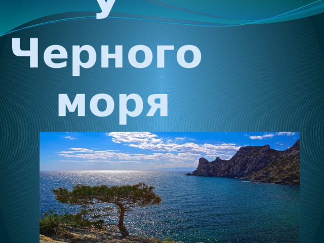 У Черного  моря . 