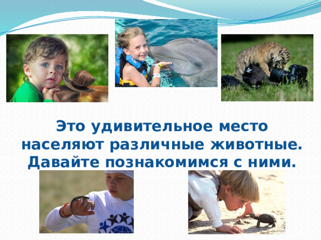Это удивительное место населяют различные животные. Давайте познакомимся с ними. 