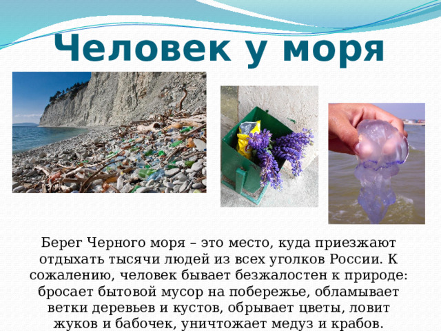 Человек у моря Берег Черного моря – это место, куда приезжают отдыхать тысячи людей из всех уголков России. К сожалению, человек бывает безжалостен к природе: бросает бытовой мусор на побережье, обламывает ветки деревьев и кустов, обрывает цветы, ловит жуков и бабочек, уничтожает медуз и крабов. 