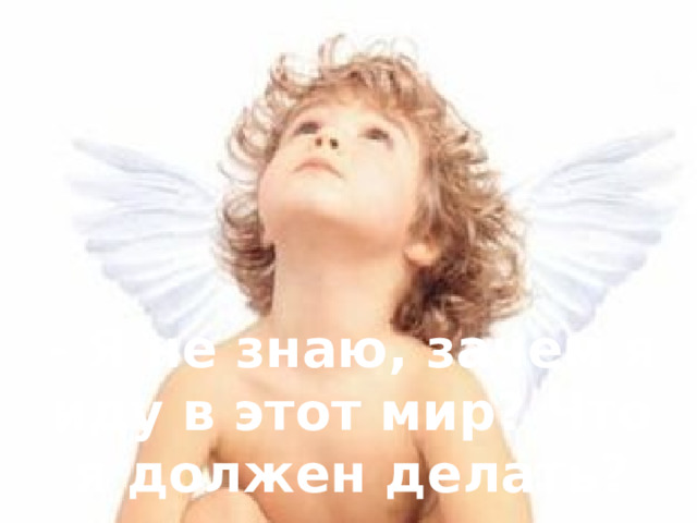 - Я не знаю, зачем я иду в этот мир? Что я должен делать? 