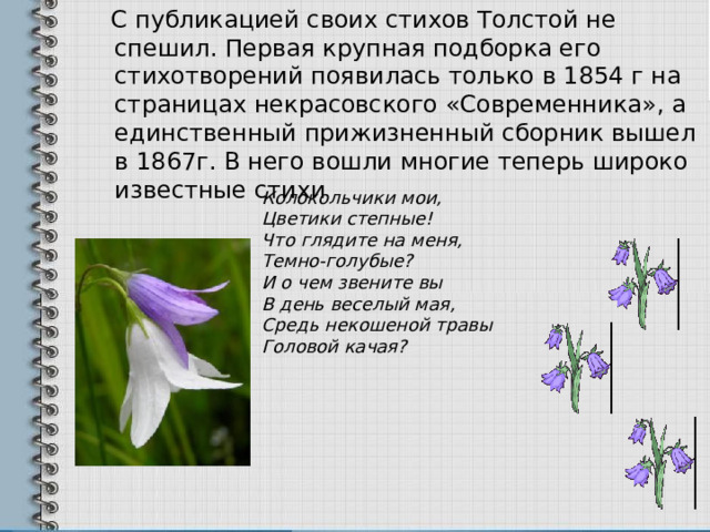  С публикацией своих стихов Толстой не спешил. Первая крупная подборка его стихотворений появилась только в 1854 г на страницах некрасовского «Современника», а единственный прижизненный сборник вышел в 1867г. В него вошли многие теперь широко известные стихи Колокольчики мои, Цветики степные! Что глядите на меня, Темно-голубые? И о чем звените вы В день веселый мая, Средь некошеной травы Головой качая? 