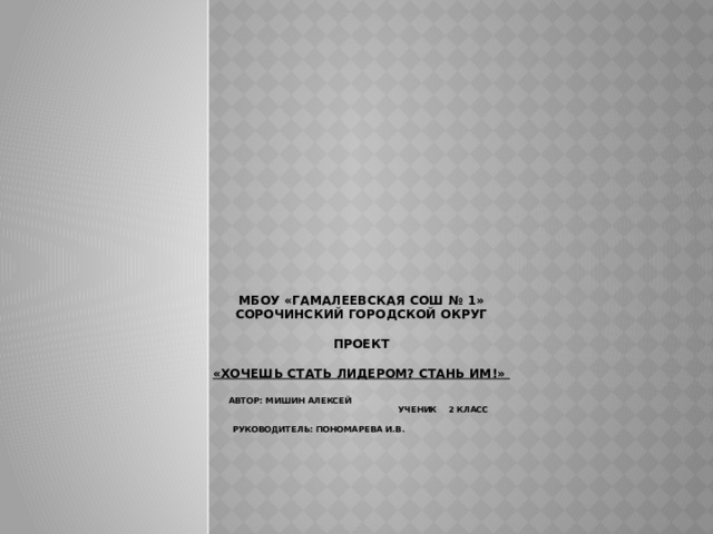   МБОУ «Гамалеевская СОШ № 1»  Сорочинский городской округ     ПРОЕКТ     «Хочешь стать лидером? Стань им!»     Автор: Мишин Алексей  Ученик 2 класс    Руководитель: Пономарева И.В.   