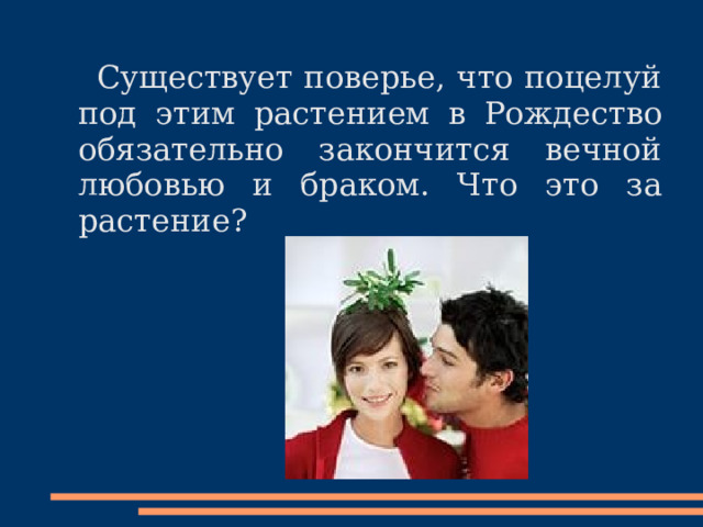  Существует поверье, что поцелуй под этим растением в Рождество обязательно закончится вечной любовью и браком. Что это за растение? 