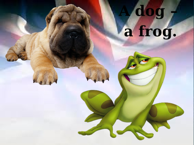A dog – a frog. 