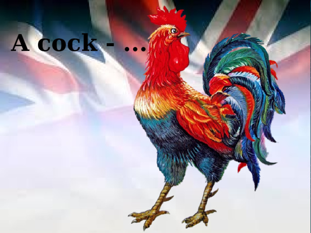 A cock - ... 