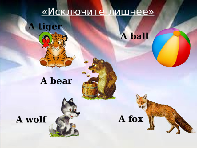 «Исключите лишнее»  A tiger A ball A bear  A fox A wolf 