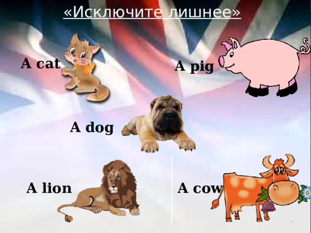 «Исключите лишнее»  A cat A pig A dog  A cow A lion 