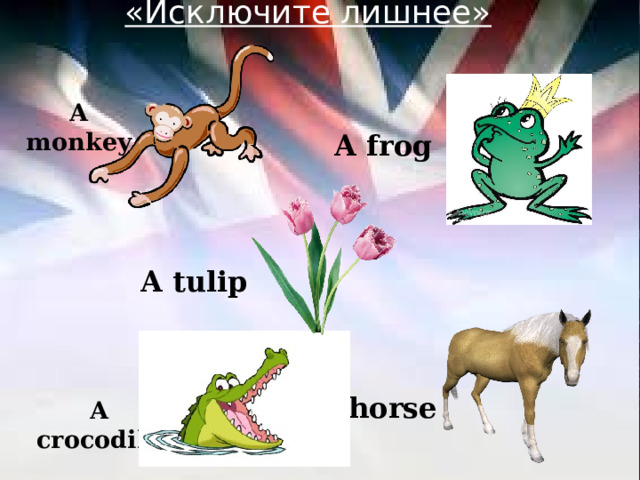 «Исключите лишнее»  A monkey A frog A tulip  A horse A crocodile 