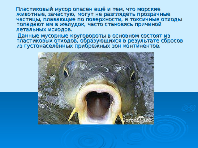  Пластиковый мусор опасен ещё и тем, что морские животные, зачастую, могут не разглядеть прозрачные частицы, плавающие по поверхности, и токсичные отходы попадают им в желудок, часто становясь причиной летальных исходов.  Данные мусорные круговороты в основном состоят из пластиковых отходов, образующихся в результате сбросов из густонаселённых прибрежных зон континентов. 