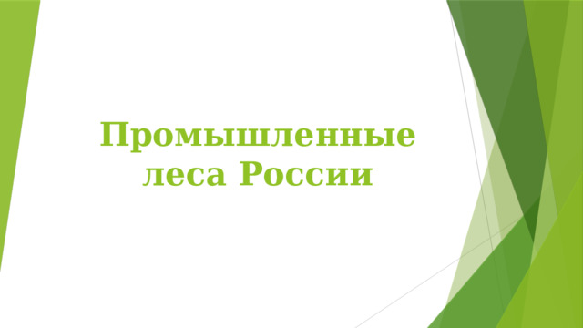 Промышленные леса России 