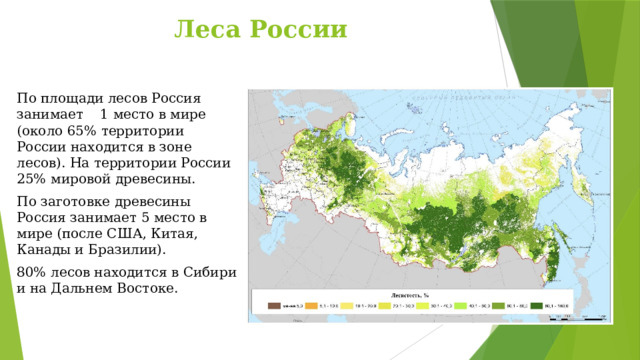 Леса России По площади лесов Россия занимает 1 место в мире (около 65% территории России находится в зоне лесов). На территории России 25% мировой древесины. По заготовке древесины Россия занимает 5 место в мире (после США, Китая, Канады и Бразилии). 80% лесов находится в Сибири и на Дальнем Востоке. 