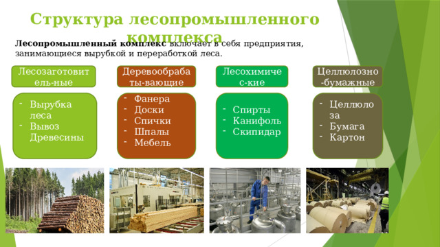 Структура лесопромышленного комплекса Лесопромышленный комплекс включает в себя предприятия, занимающиеся вырубкой и переработкой леса. Лесозаготовитель-ные Деревообрабаты-вающие Лесохимичес-кие Целлюлозно-бумажные Целлюлоза Бумага Картон Спирты Канифоль Скипидар Фанера Доски Спички Шпалы Мебель Вырубка леса Вывоз Древесины 