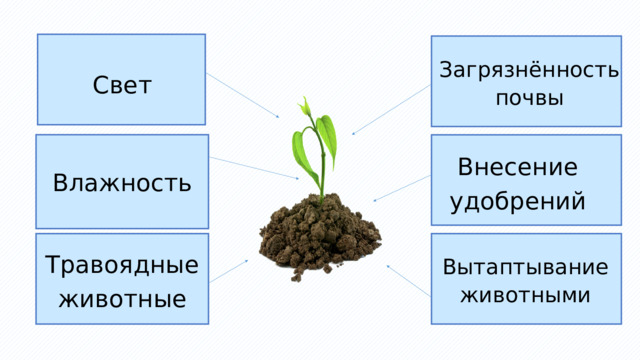 Загрязнённость почвы Свет Внесение удобрений Влажность Травоядные животные Вытаптывание животными 