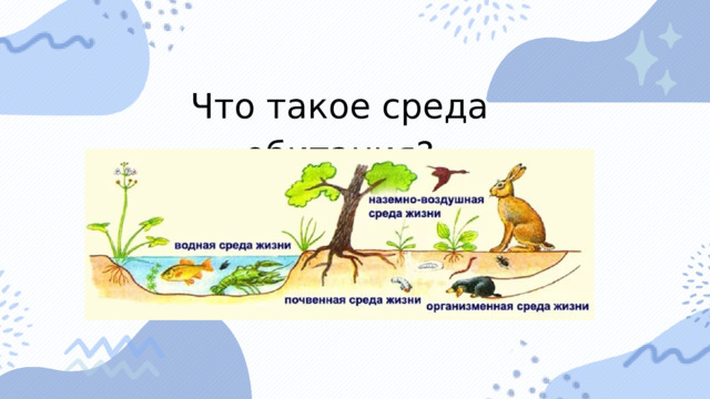 Что такое среда обитания? 