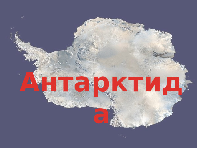 Антарктида 