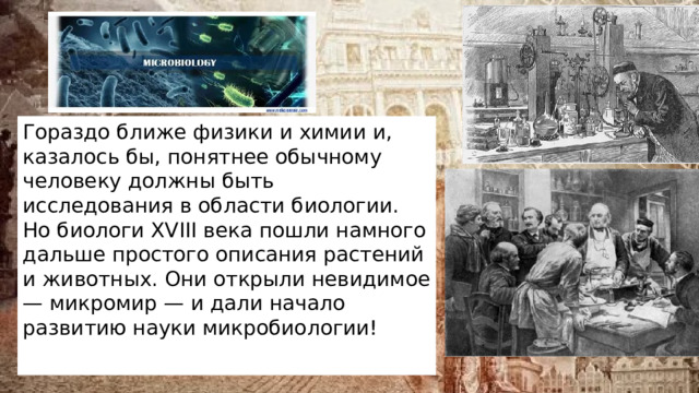 Гораздо ближе физики и химии и, казалось бы, понятнее обычному человеку должны быть исследования в области биологии. Но биологи XVIII века пошли намного дальше простого описания растений и животных. Они открыли невидимое — микромир — и дали начало развитию науки микробиологии! 