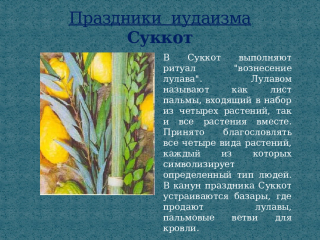Праздники иудаизма  Суккот В Суккот выполняют ритуал 