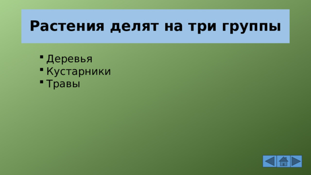 Растения делят на три группы Деревья Кустарники Травы 